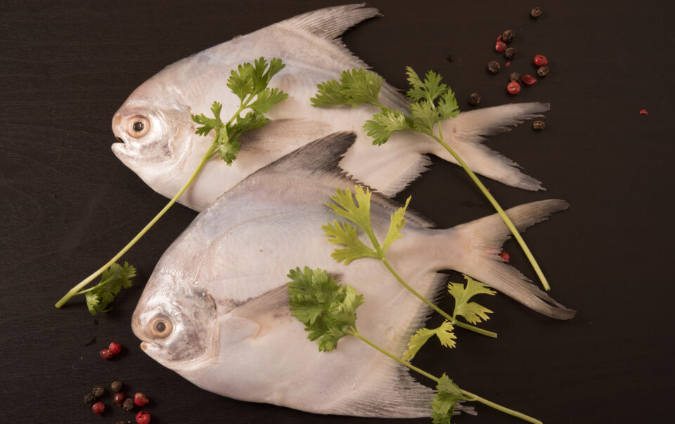 pomfret:-scaling-everything-you-need-to-know:-healthifyme