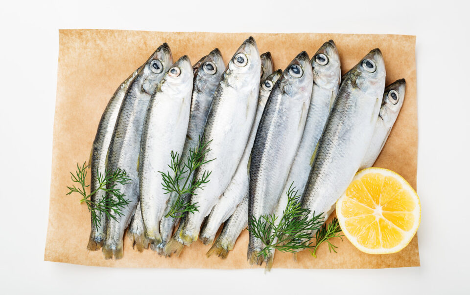 sardines:-everything-you-need-to-know:-healthifyme