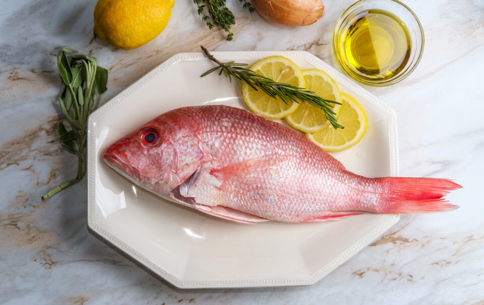 red-snapper:-your-scarlet-dose-of-good-health:-healthifyme