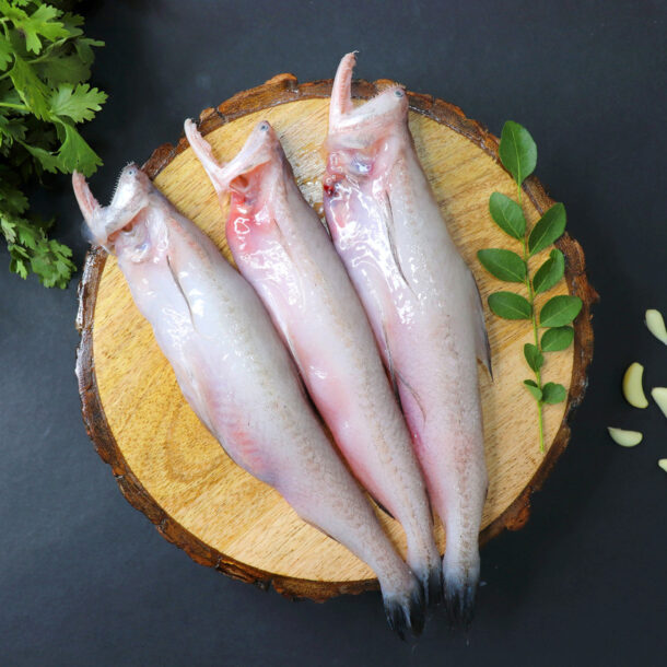 bombay-duck:-a-fish-devoted-to-your-good-health:-healthifyme