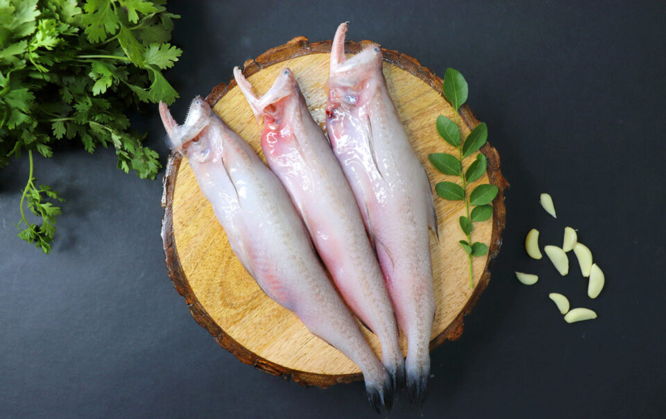 bombay-duck:-a-fish-devoted-to-your-good-health:-healthifyme