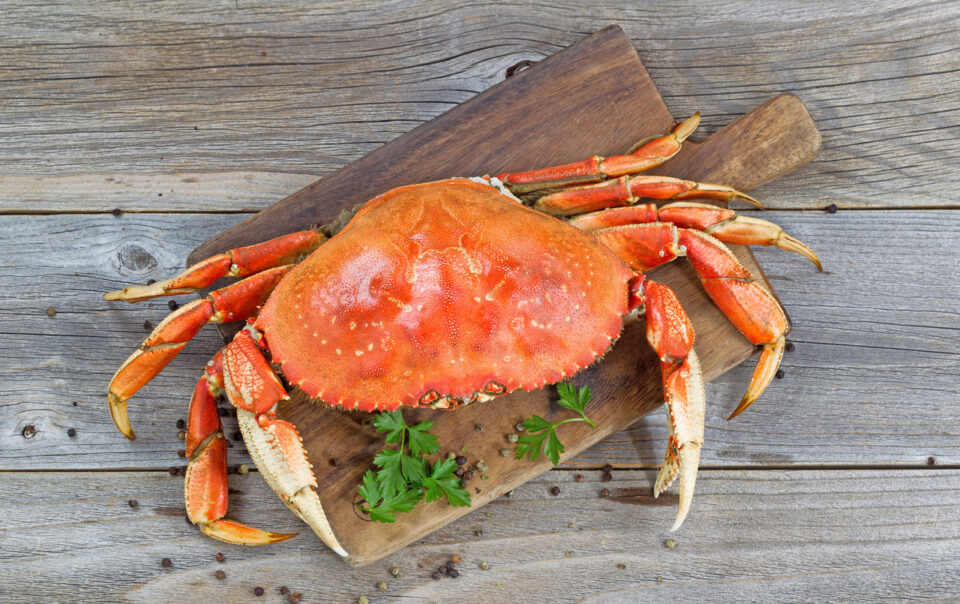 crabs:-spreading-tentacles-towards-good-health:-healthifyme