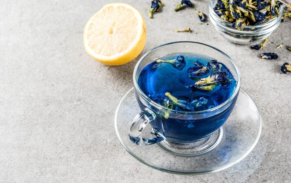 spilling-the-nutritional-sip-about-blue-tea:-healthifyme
