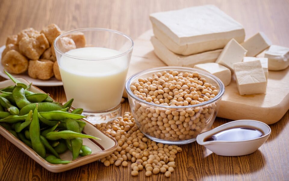 soy-protein:-a-vegan-based-nutrition-source:-healthifyme