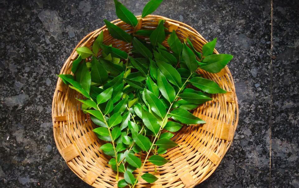 curry-leaves-benefits:-what-one-needs-to-know:-healthifyme